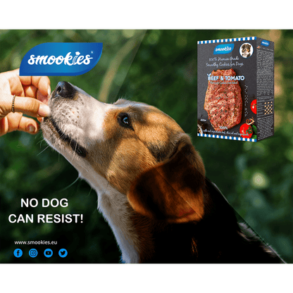 Hund fodres med en godbid med Smookies emballage og mærkning i baggrunden