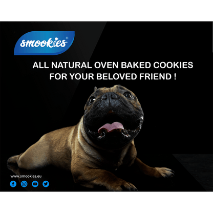 Hund liggende med Smookies småkage mærke tekst og logo på en sort baggrund