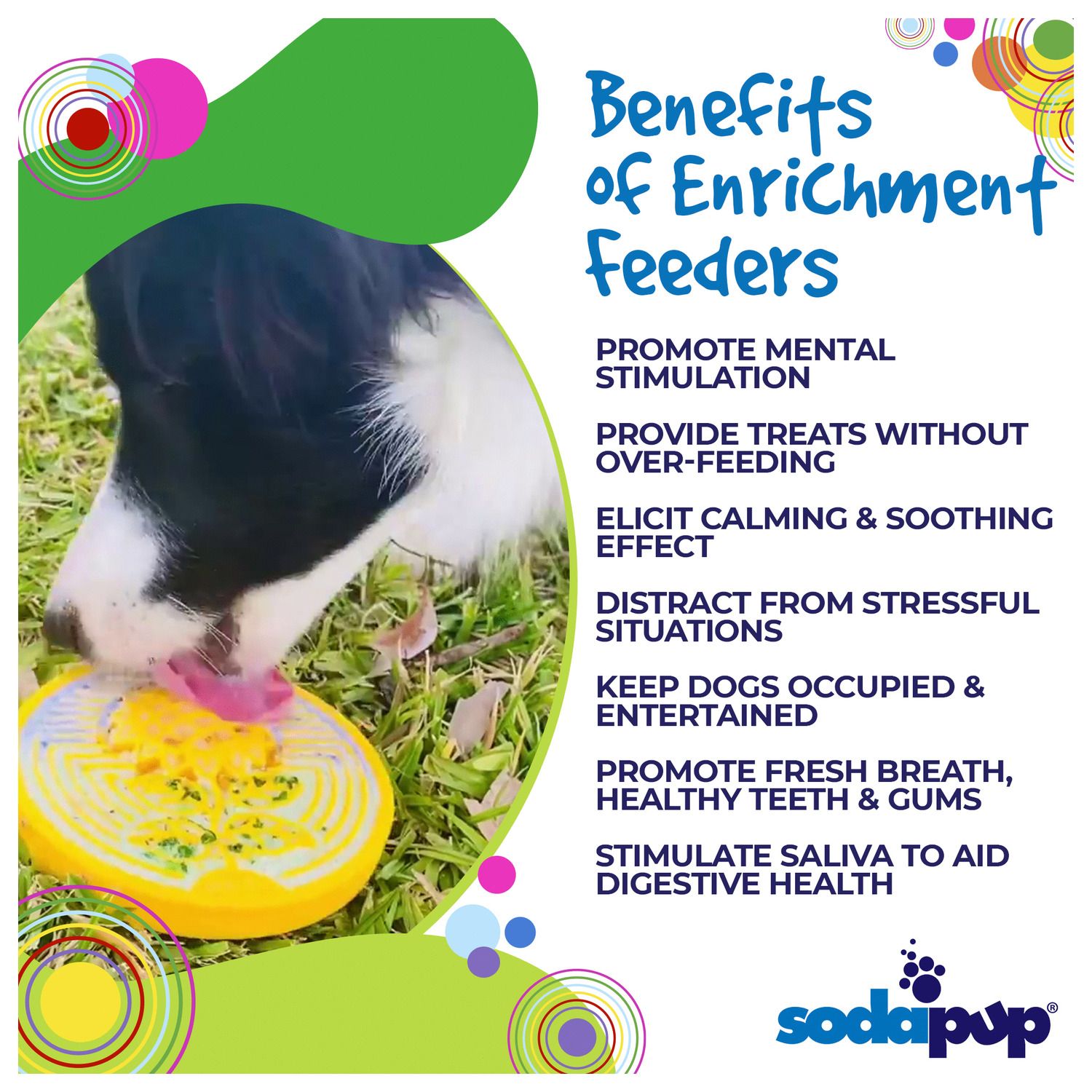 Advertisement for SodaPup enrichment feeders with a dog eating from a plate on grass.