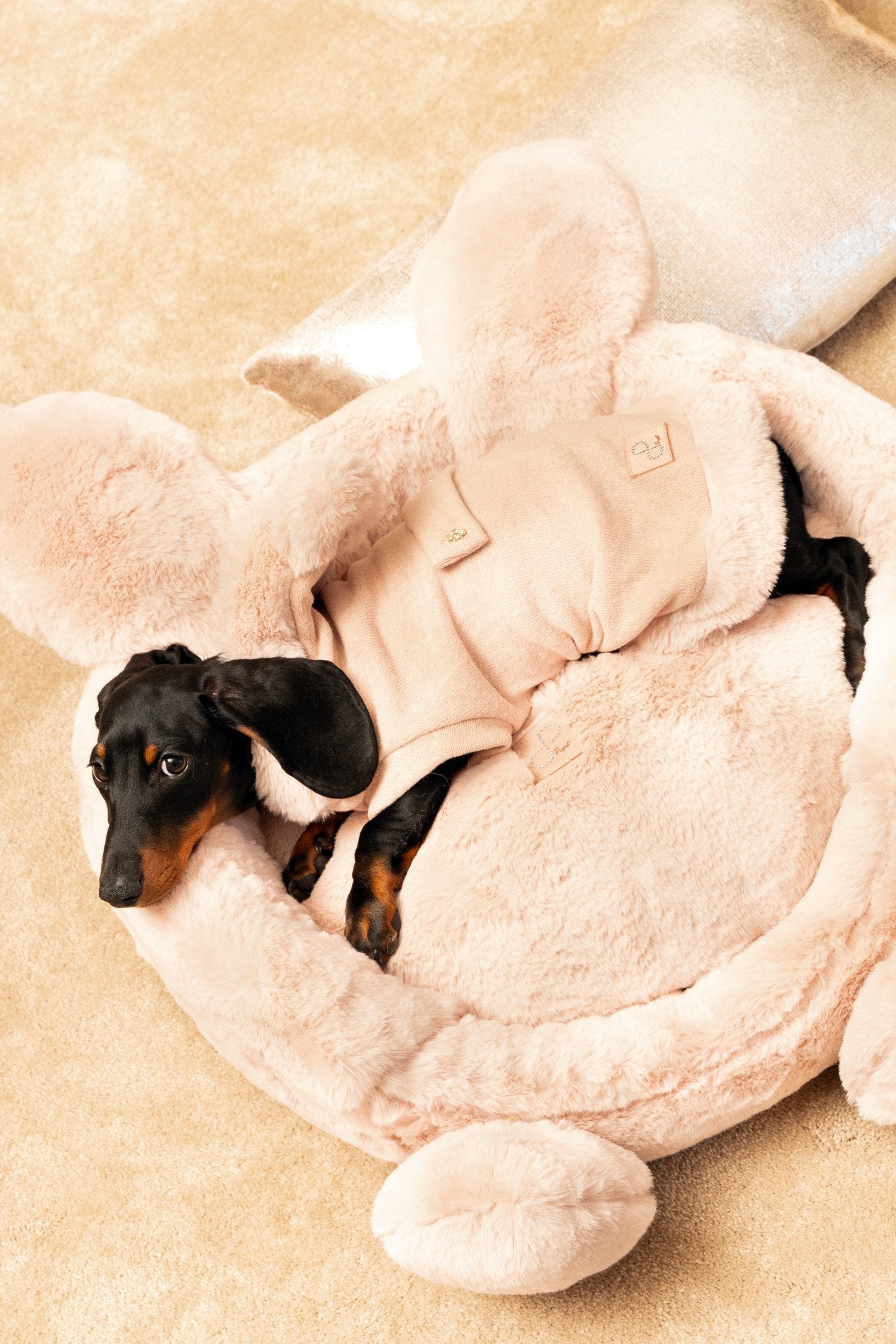 Dog lying in a fluffy pink pet bed shaped like a bear on a beige surface.