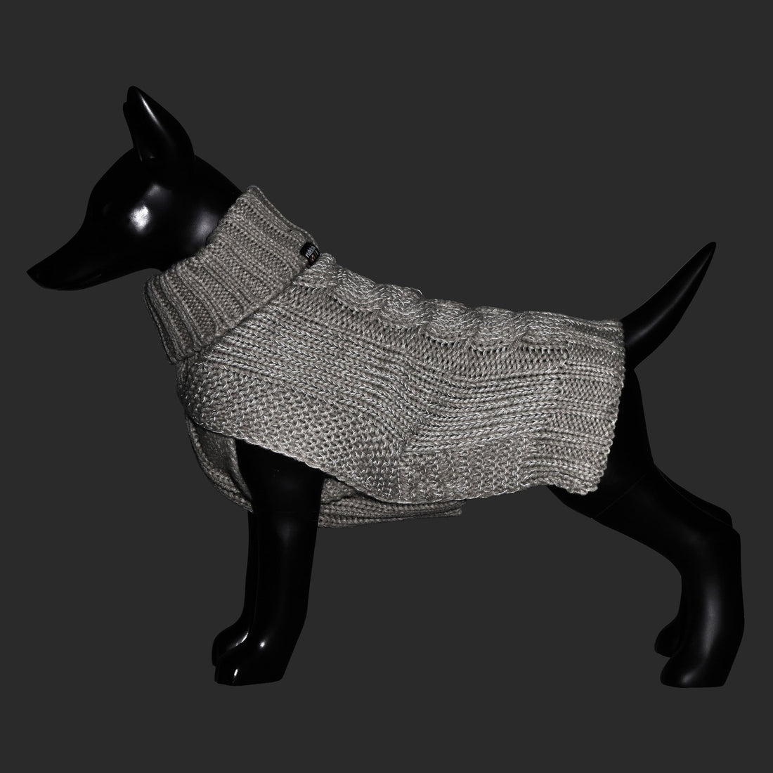 Dog wearing a gray knitted sweater on a black background