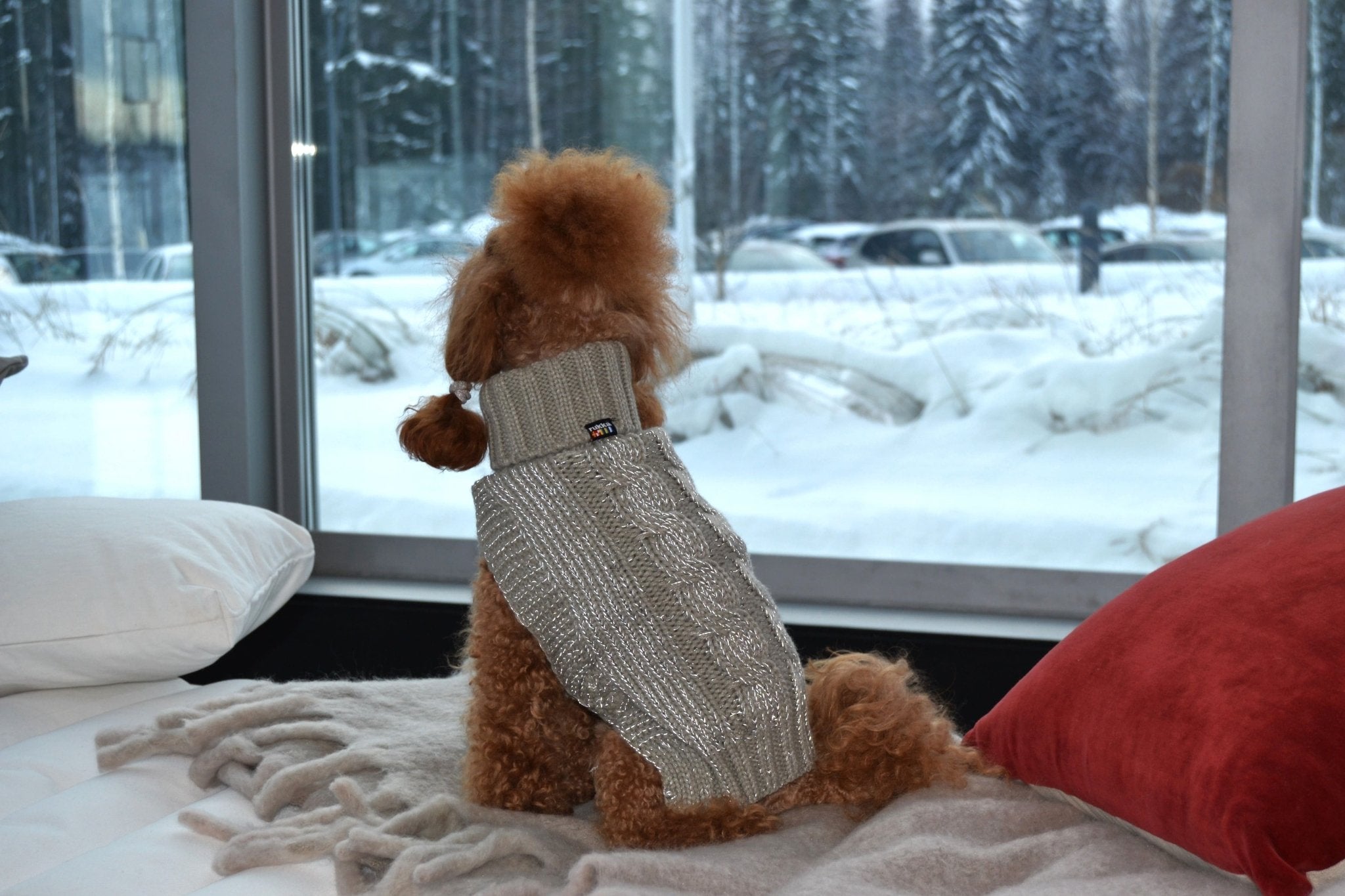 Dog wearing a sweater sitting on a bed with a snowy outdoor view