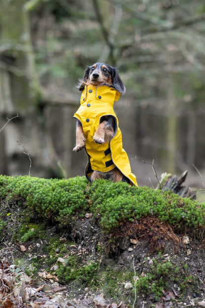 Stream Raincoat - Share Happy Outfits