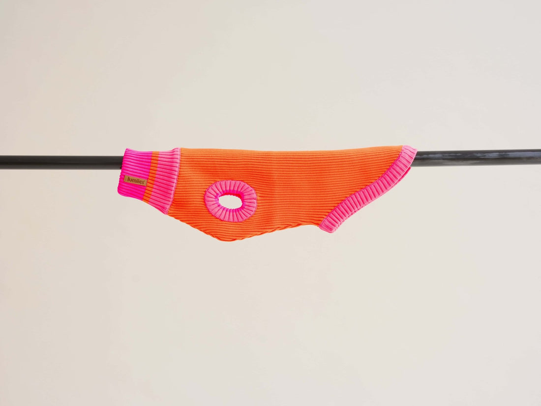 Orange and pink doggy jumper on a beige background