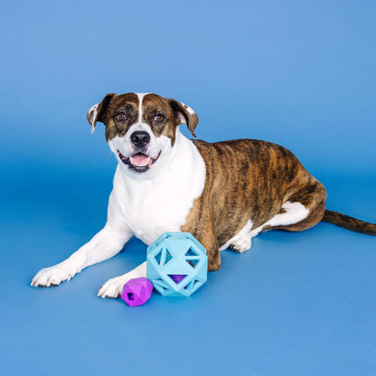 Sweet on the Inside™ Dog Toy | Treat Dispenser Puzzle Toy for Dogs | Natural Rubber Chew Toy - Share Happy Outfits