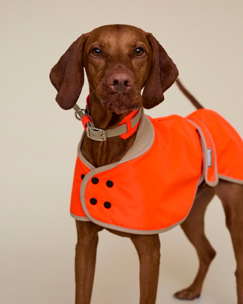 The Glow Raincoat - Orange - Regular Fit - Share Happy Outfits