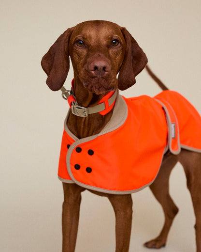 The Glow Raincoat - Orange - Regular Fit - Share Happy Outfits
