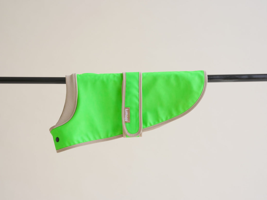 The Glow Raincoat Oxford - Green - Dachshund/Poodle Fit - Share Happy Outfits