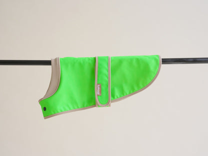 The Glow Raincoat Oxford - Green - Dachshund/Poodle Fit - Share Happy Outfits