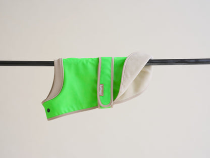 The Glow Raincoat Oxford - Green - Dachshund/Poodle Fit - Share Happy Outfits