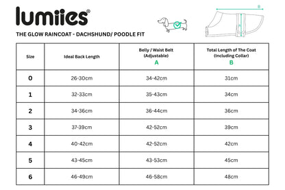The Glow Raincoat Oxford - Green - Dachshund/Poodle Fit - Share Happy Outfits