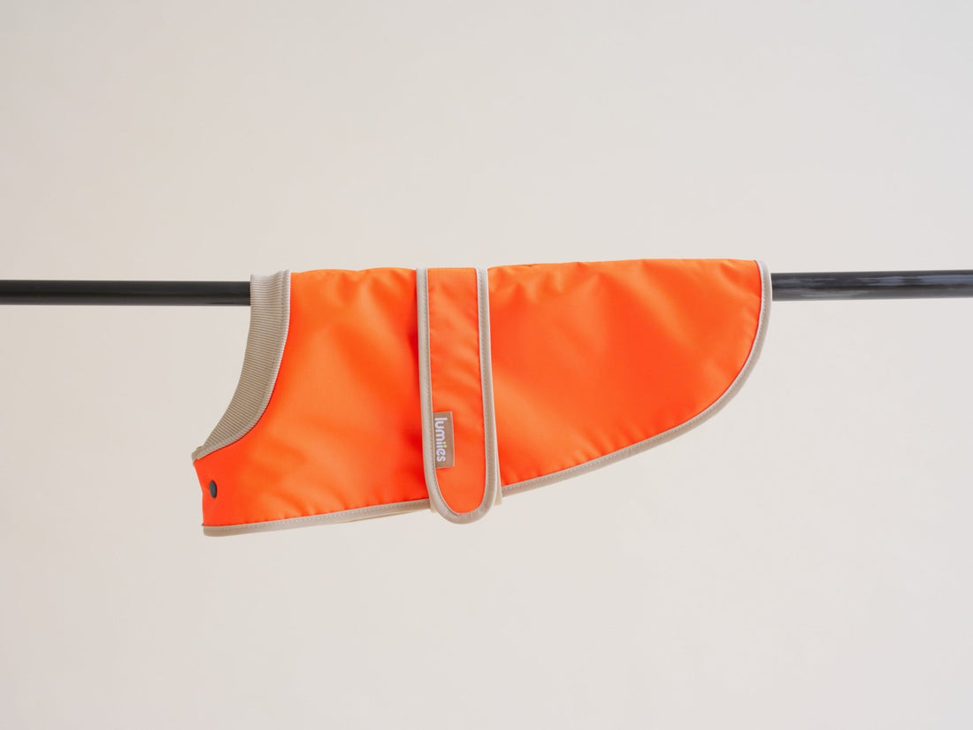 The Glow Raincoat Oxford - Orange - Dachshund/Poodle Fit - Share Happy Outfits