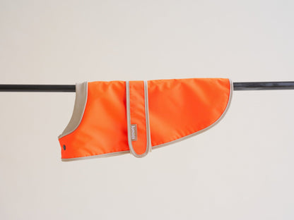 The Glow Raincoat Oxford - Orange - Dachshund/Poodle Fit - Share Happy Outfits