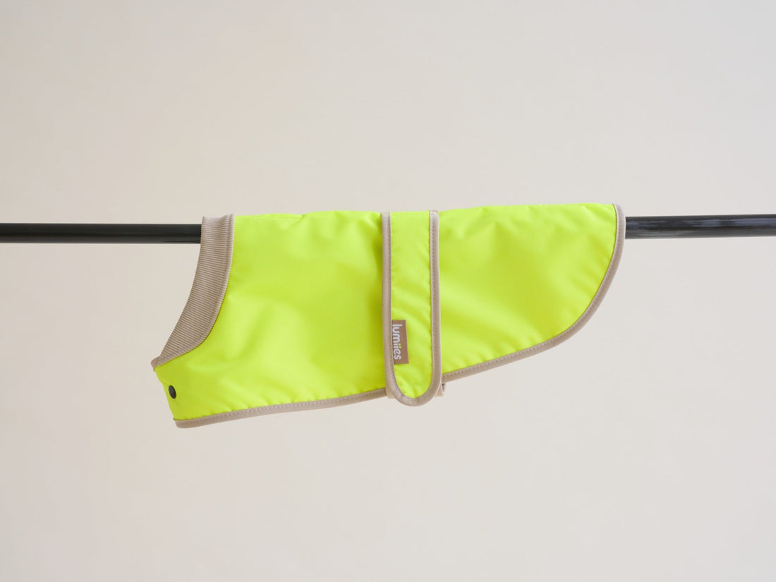 The Glow Raincoat Oxford - Yellow - Dachshund/Poodle Fit - Share Happy Outfits
