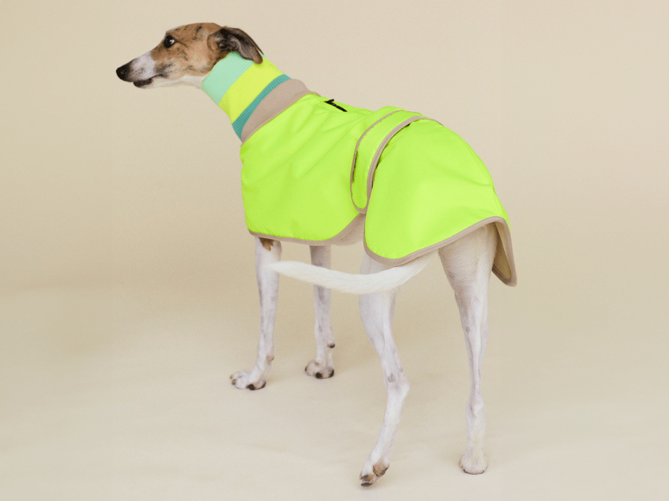 The Glow Raincoat - Yellow - Regular Fit - Share Happy Outfits