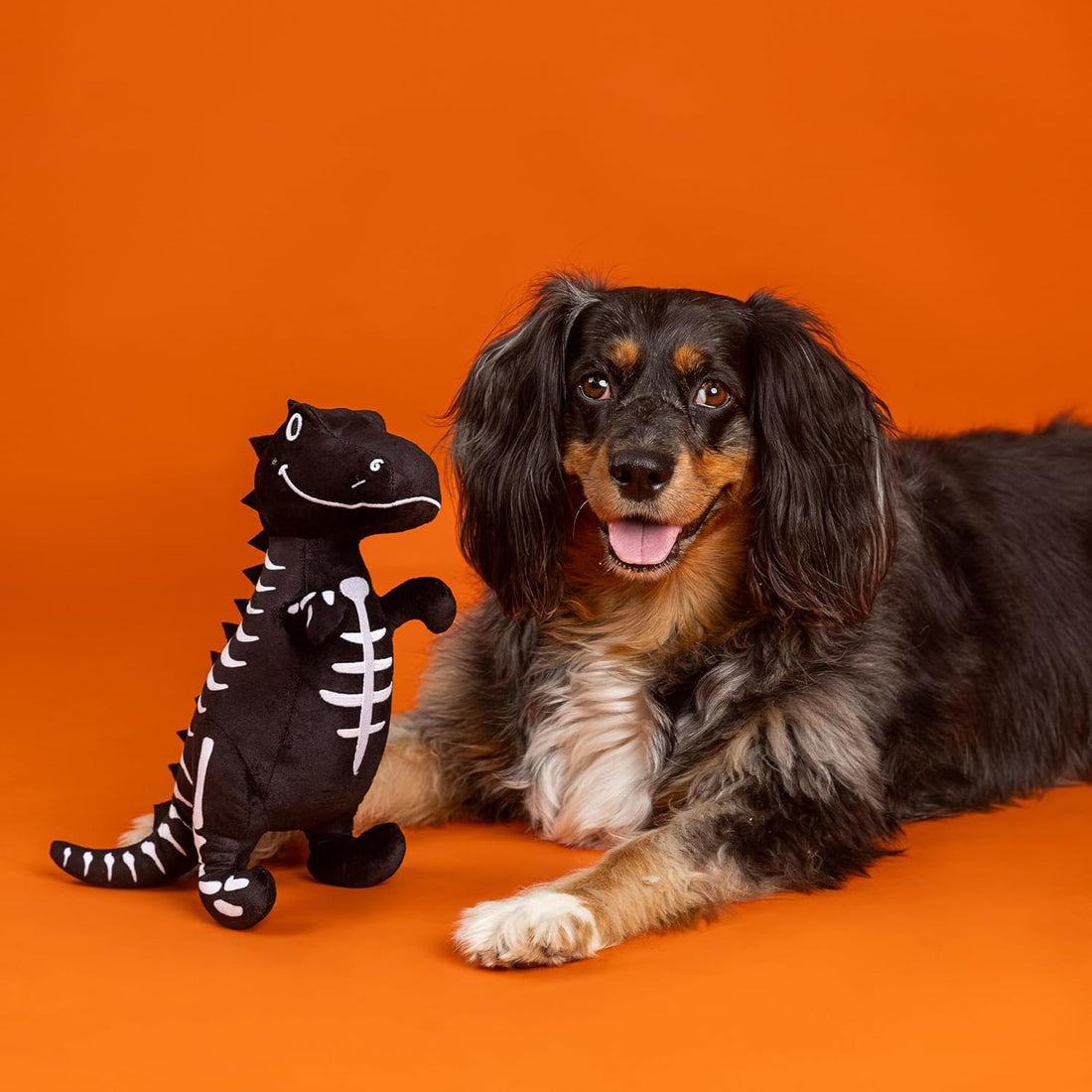 Trick Rawr Treat – Halloween Plush Dog Toy - Share Happy Outfits