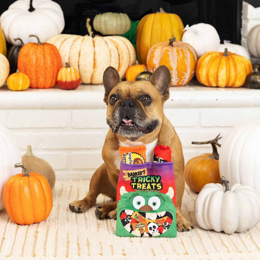 Fringe Plush Dog Toy - TRICKY TREATS - Share Happy Outfits