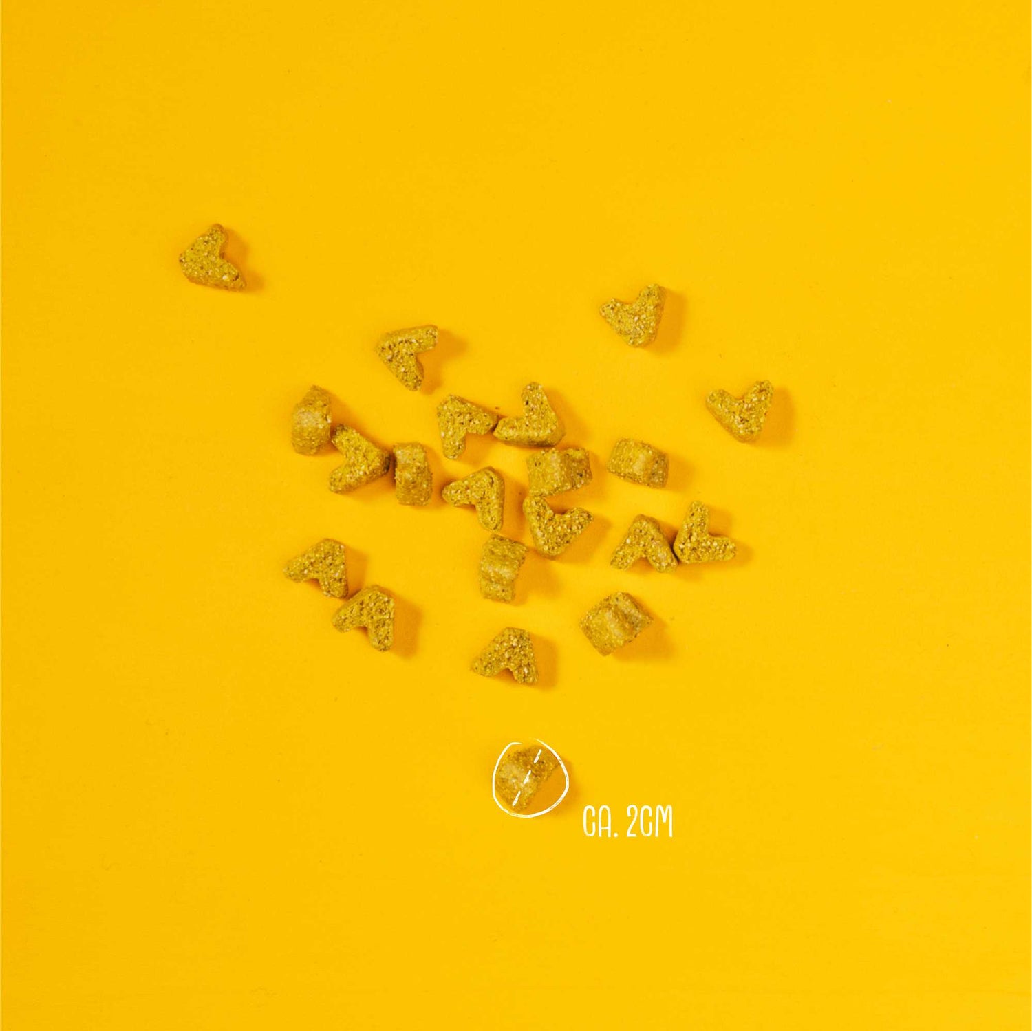 VEGGIES IMMUNE – Vegan immuunondersteunende snacks voor honden