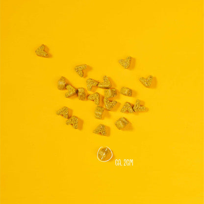 VEGGIES IMMUNE – Vegan immuunondersteunende snacks voor honden