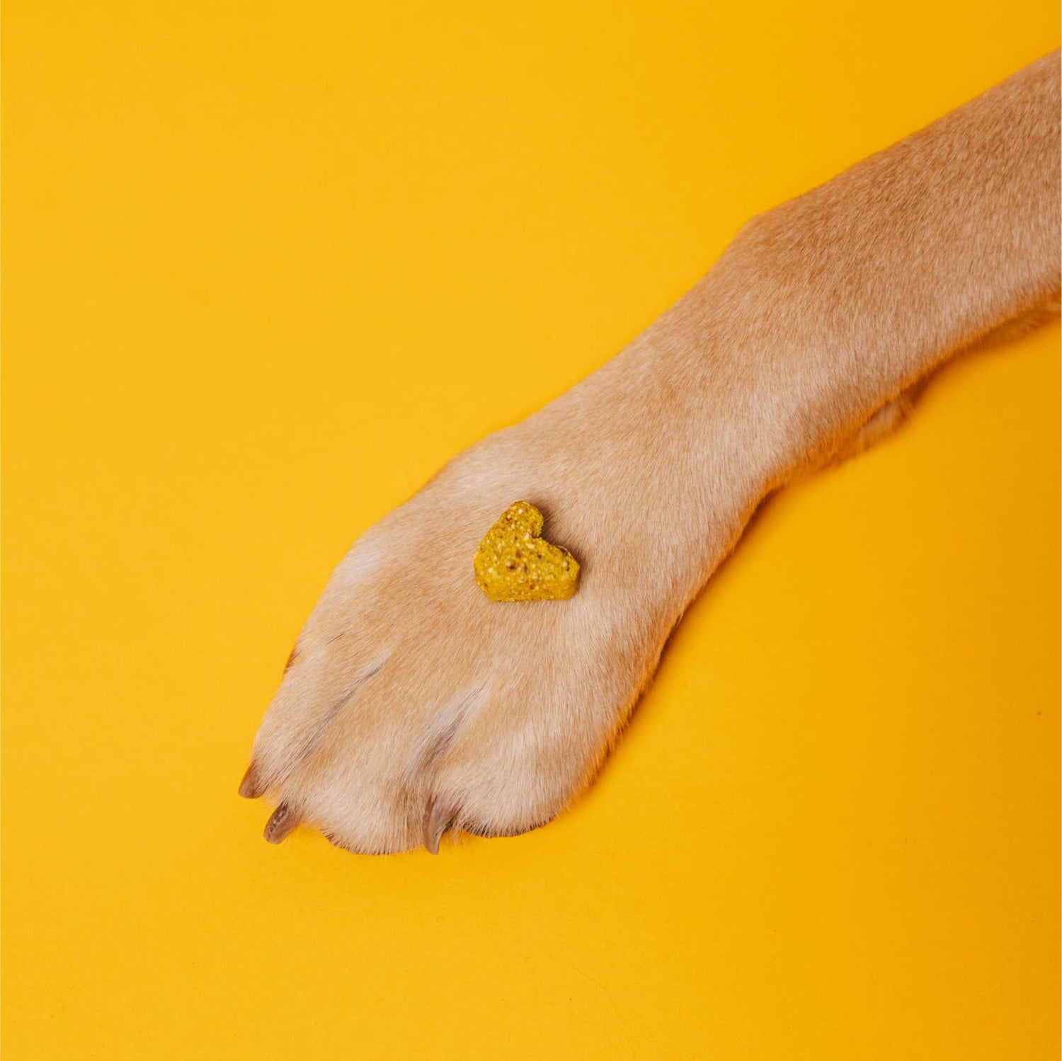 VEGGIES IMMUNE – Vegan immuunondersteunende snacks voor honden