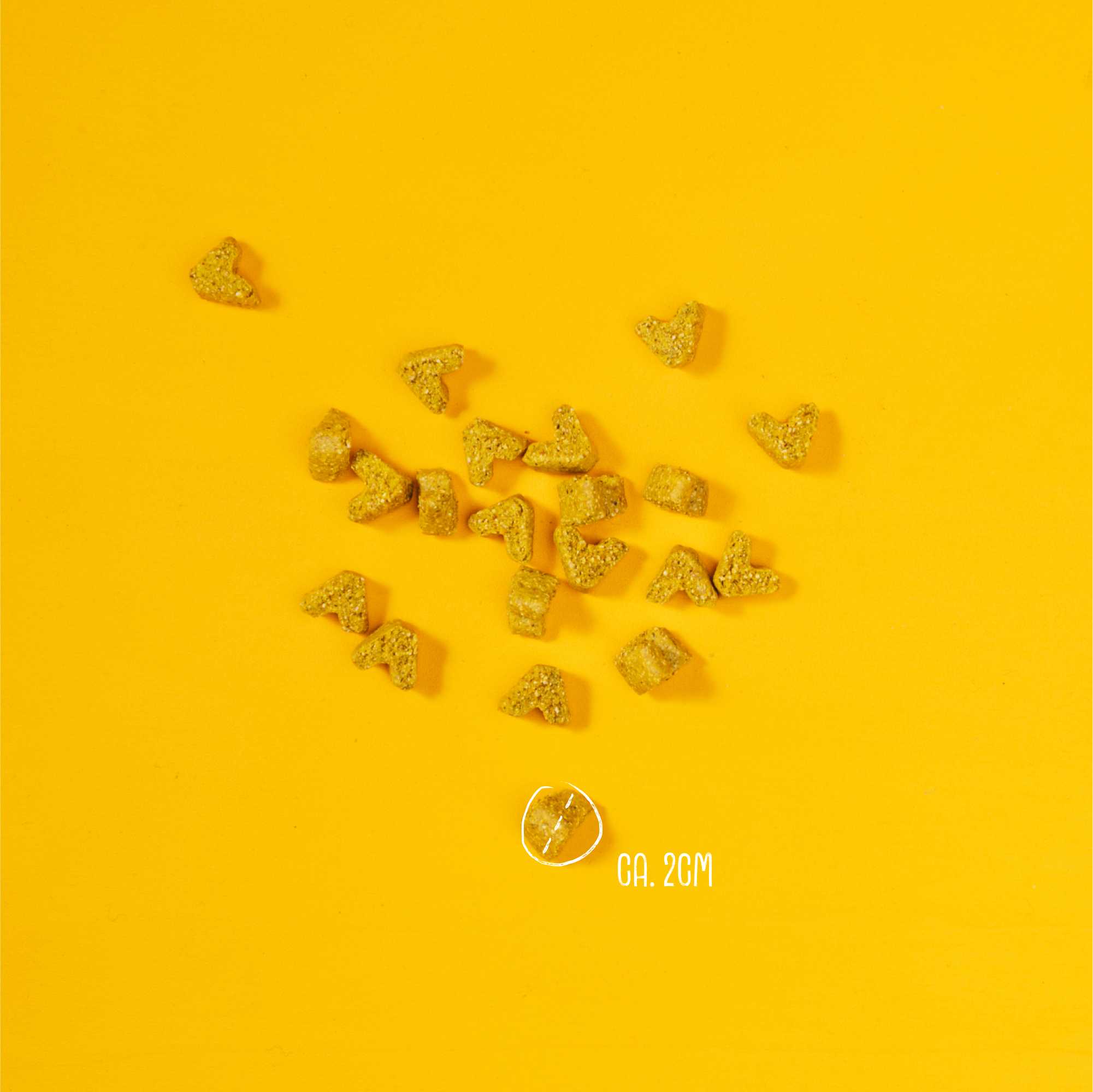 Gold heart-shaped objects and a lemon on a yellow background with &