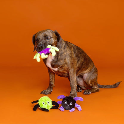 Webbed in Mischief – 3-Piece Mini Plush Dog Toy Set - Share Happy Outfits