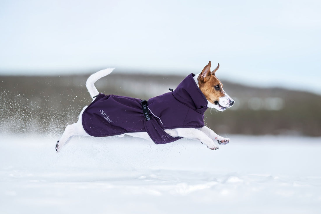 Winter Coat – Rukka Trust Foil Padded Jacket - Share Happy Outfits