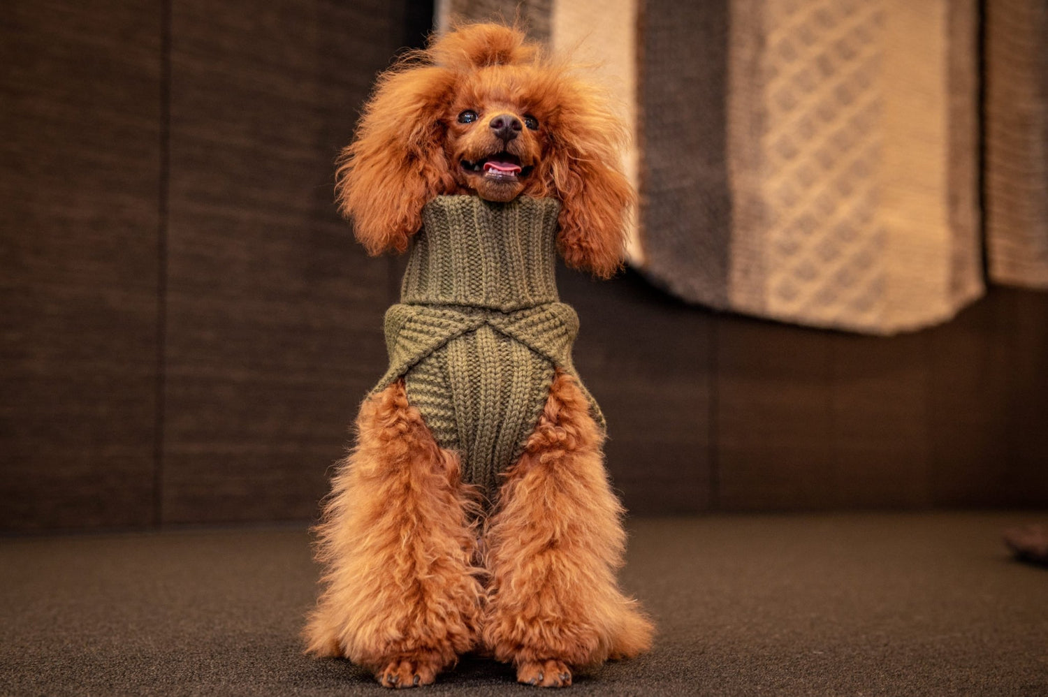 Wooly Warm Knit Sweater - Share Happy Outfits