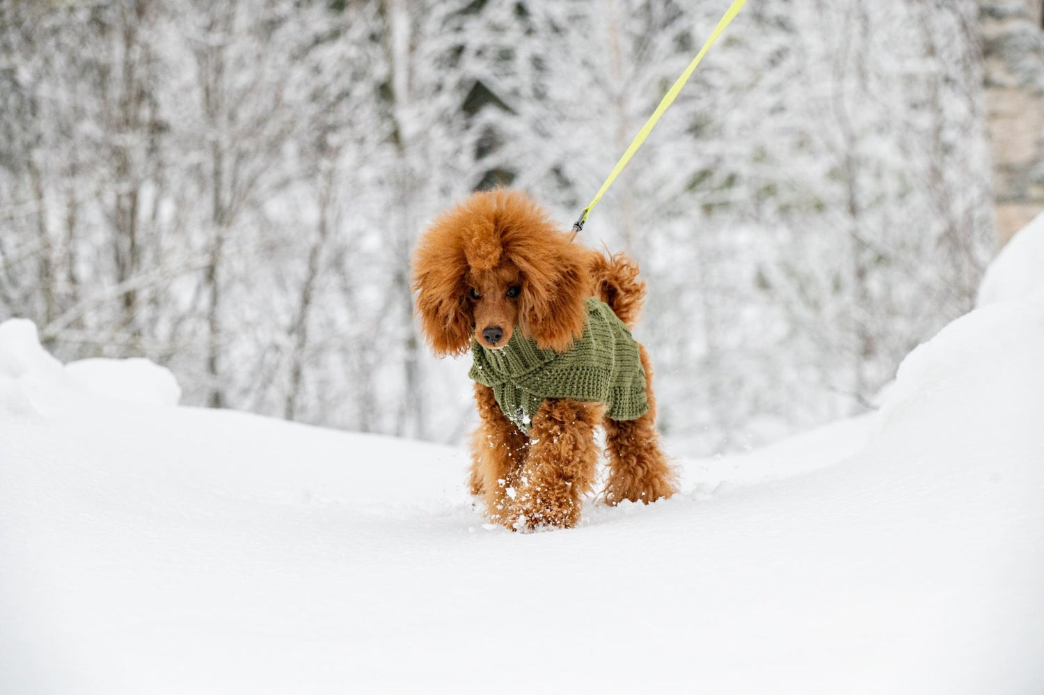 Wooly Warm Knit Sweater - Share Happy Outfits