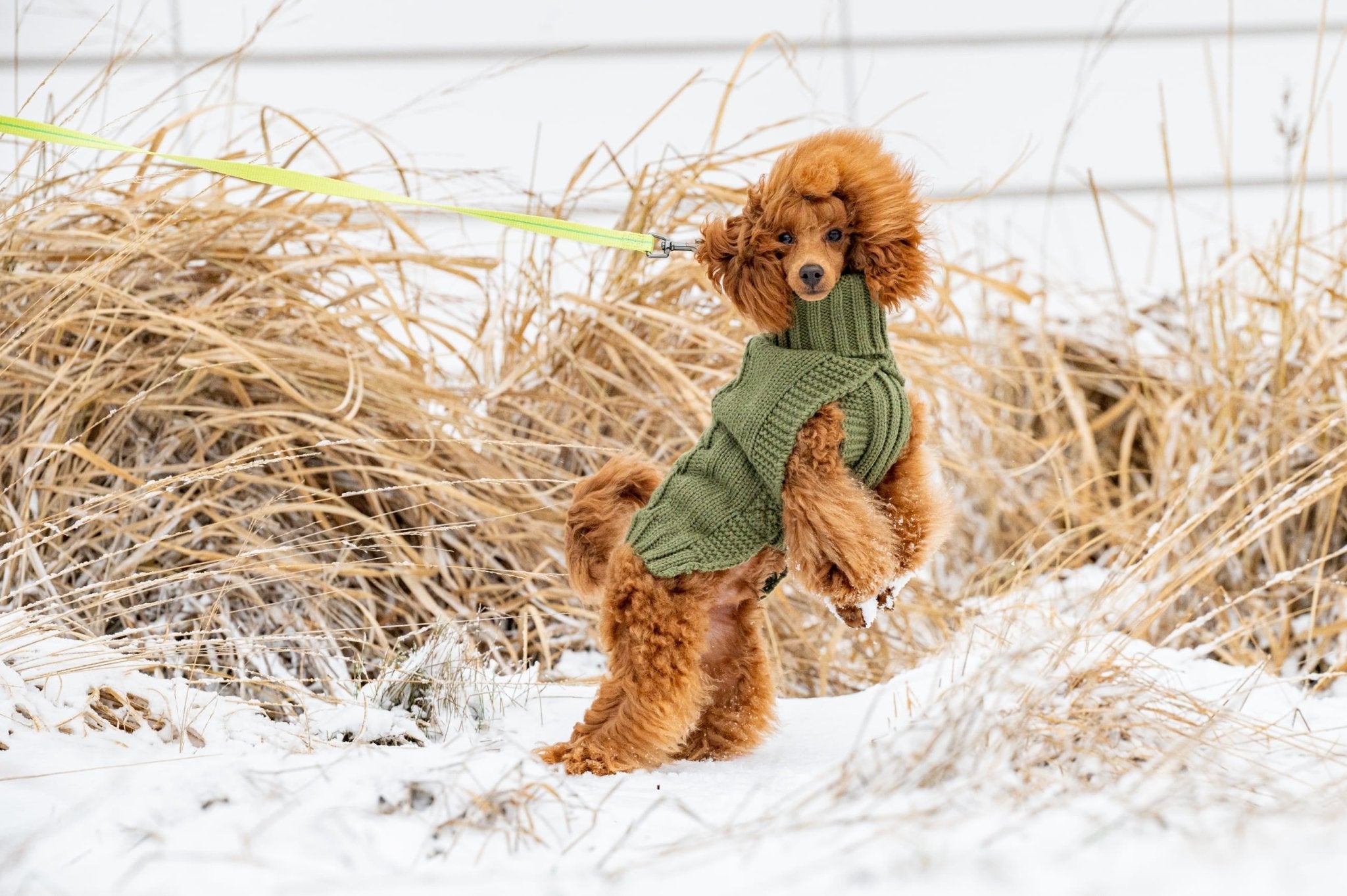 Wooly Warm Knit Sweater - Share Happy Outfits