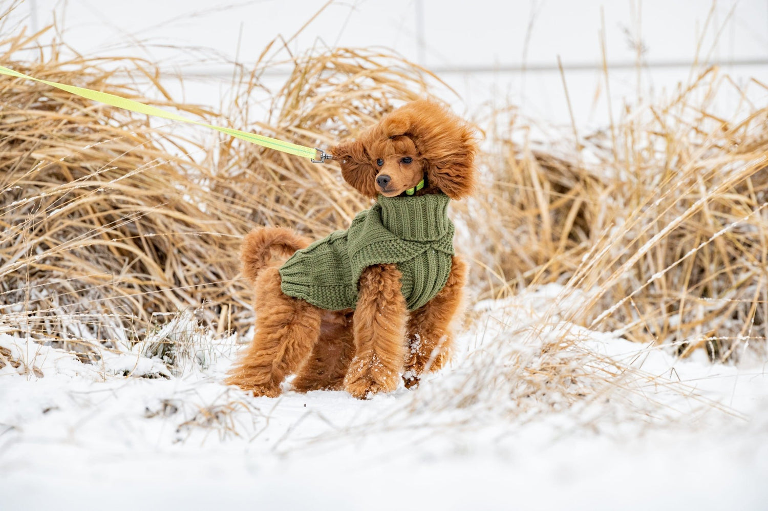 Wooly Warm Knit Sweater - Share Happy Outfits