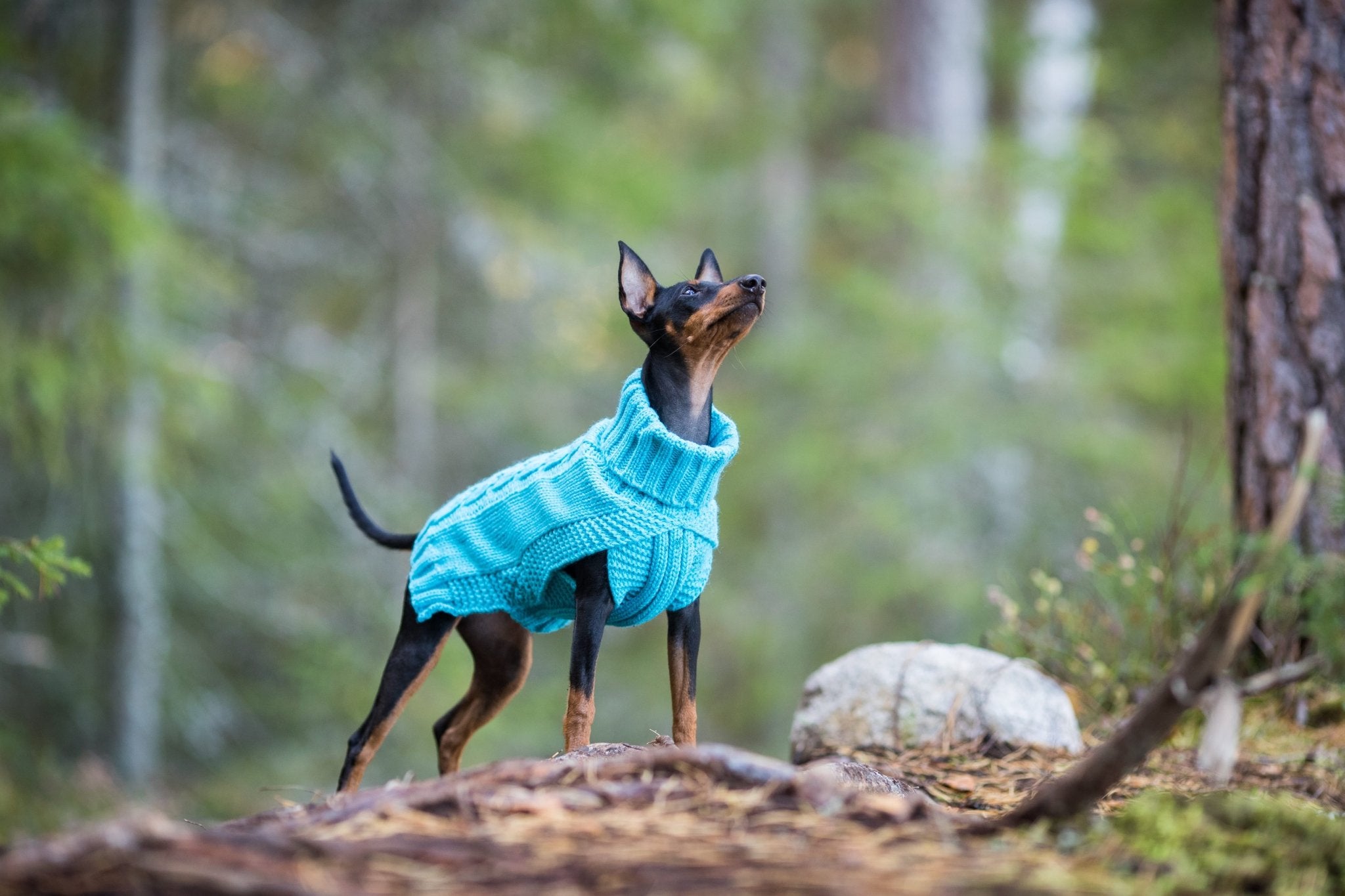 Wooly Warm Knit Sweater - Share Happy Outfits