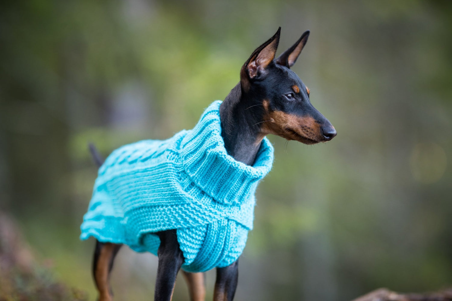 Wooly Warm Knit Sweater - Share Happy Outfits