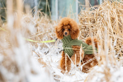 Wooly Warm Knit Sweater - Share Happy Outfits