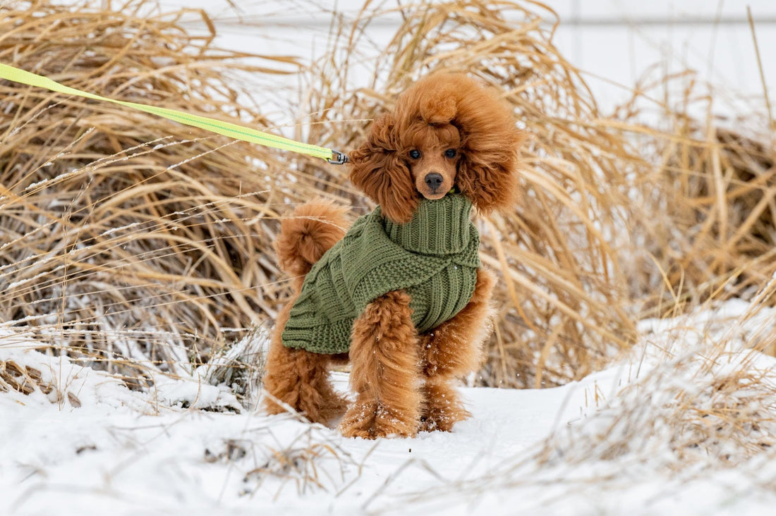 Wooly Warm Knit Sweater - Share Happy Outfits