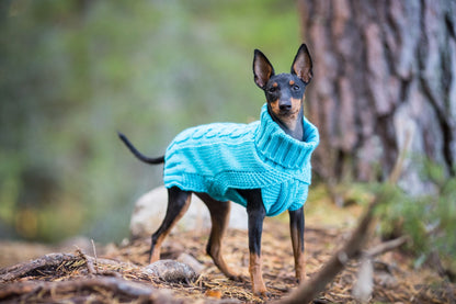 Wooly Warm Knit Sweater - Share Happy Outfits