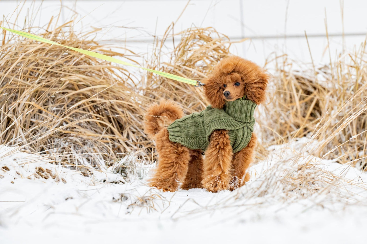 Wooly Warm Knit Sweater - Share Happy Outfits